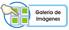 |/administracion_de_desarrollo/aspectos estrategicos/programa_bienestar_social/imagenes-4/galeria_imagenes-4.html